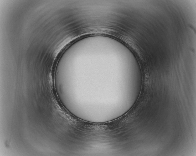 X0000102810936200809021156