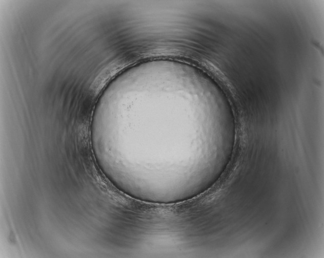 X0000102810937200809021156