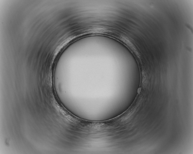 X0000102810939200809021156