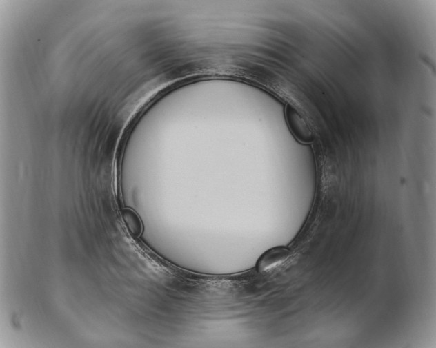 X0000102810940200809021156