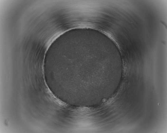 X0000102810943200809021156