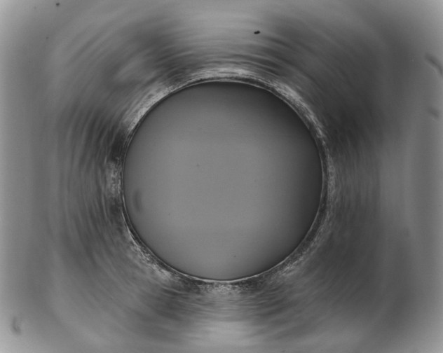 X0000102810945200809021156