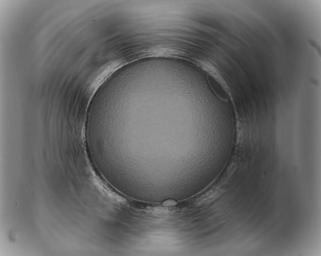 X0000102810946200809021156