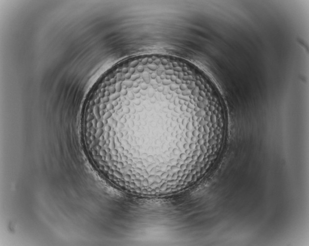 X0000102810949200809021156