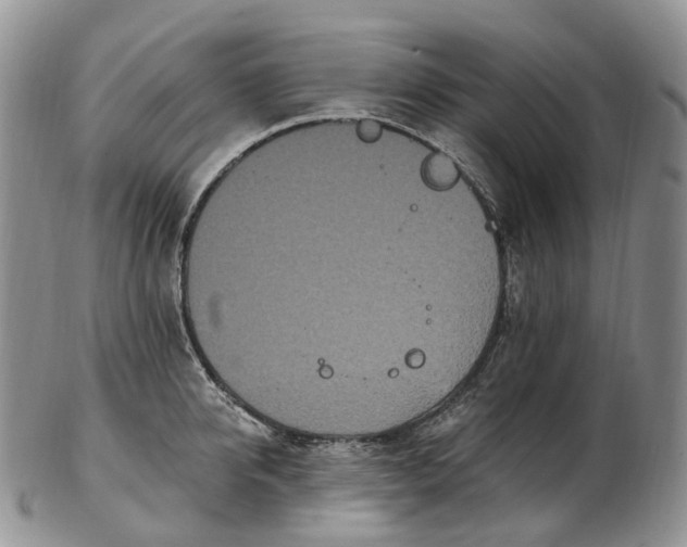 X0000102810950200809021156