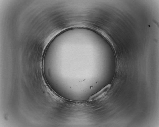 X0000102810951200809021156