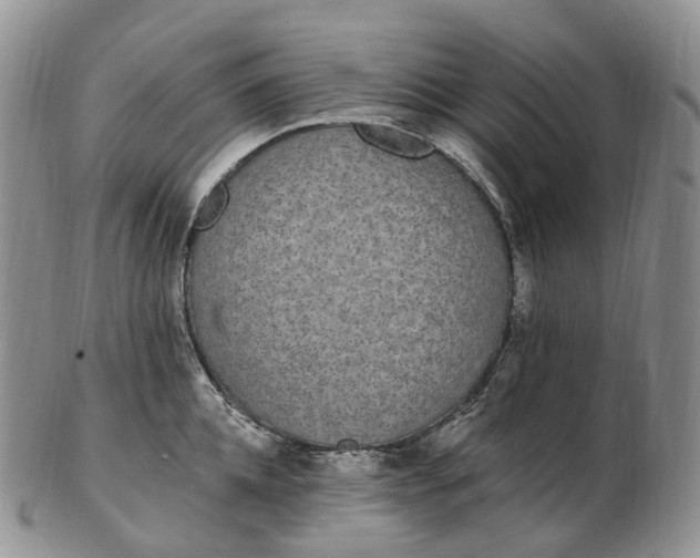 X0000102810952200809021156