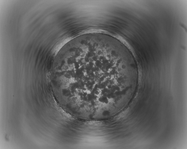 X0000102810953200809021156