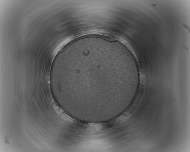 X0000102810954200809021156