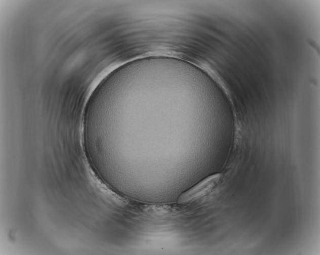 X0000102810955200809021156