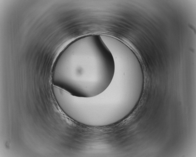 X0000102810956200809021156