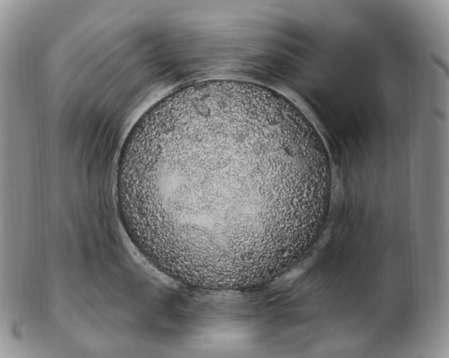 X0000102810957200809021156