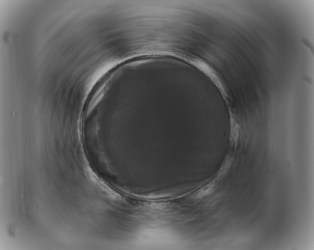 X0000102810958200809021156