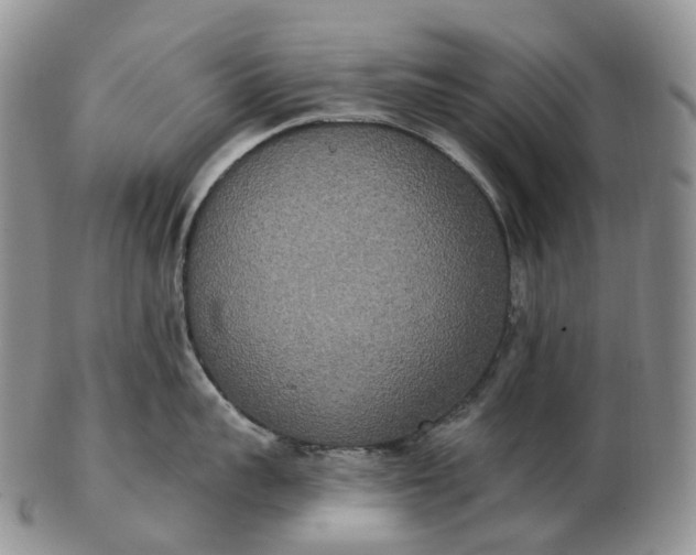 X0000102810959200809021156