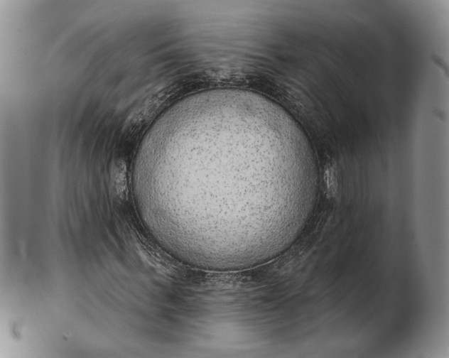 X0000102810963200809021155