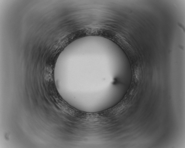 X0000102810964200809021155