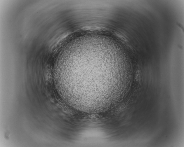 X0000102810966200809021155