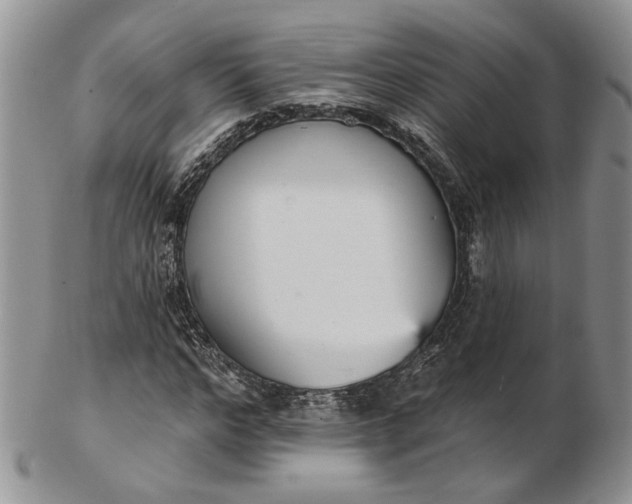 X0000102810968200809021155