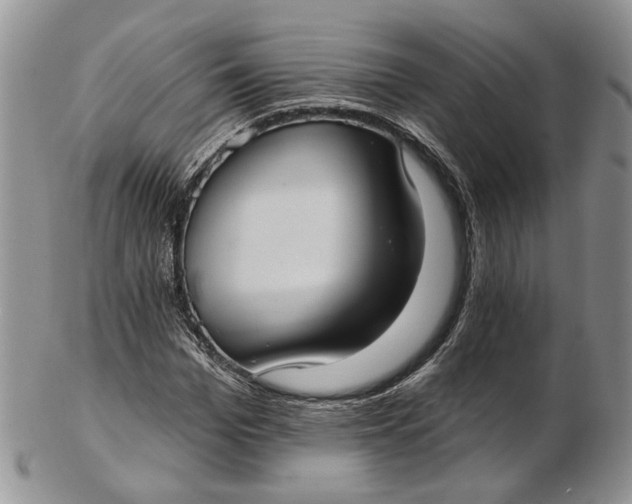 X0000102810969200809021155