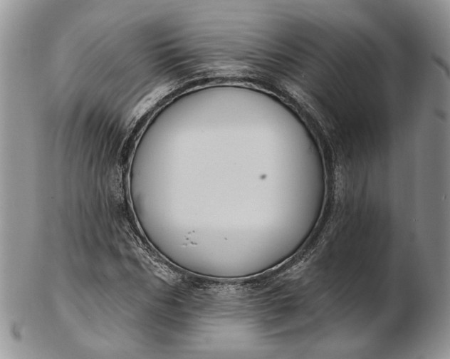 X0000102810970200809021155