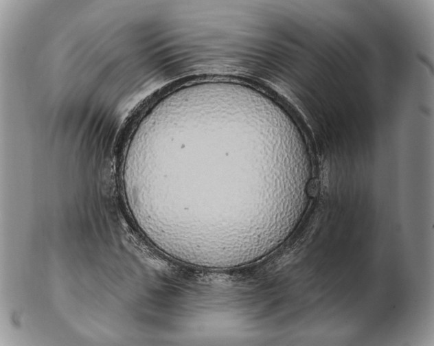 X0000102810971200809021155