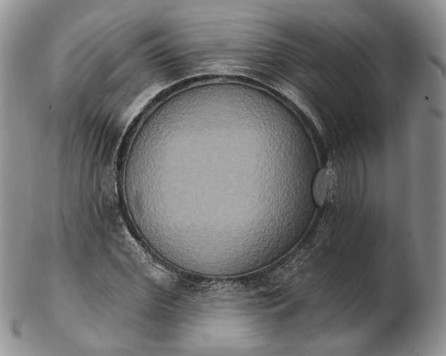 X0000102810972200809021155