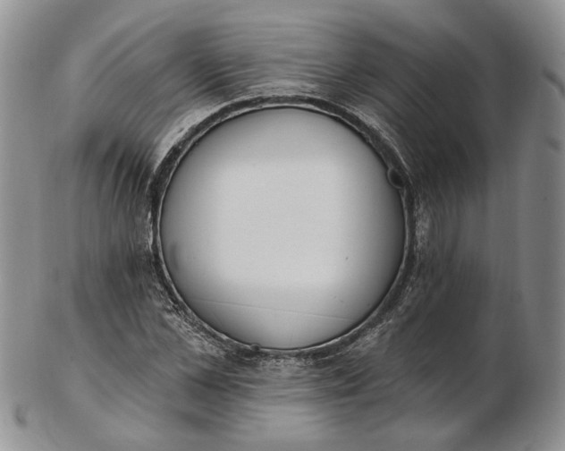 X0000102810973200809021155