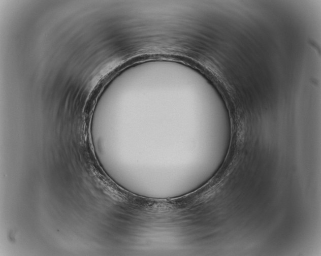 X0000102810974200809021155