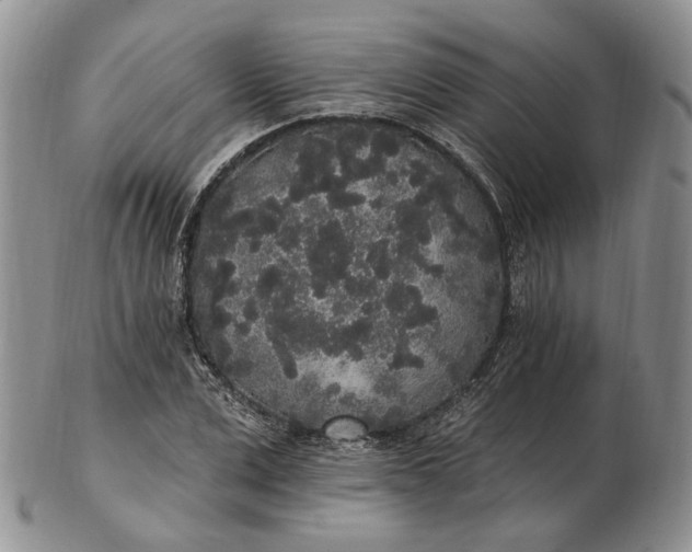 X0000102810975200809021155