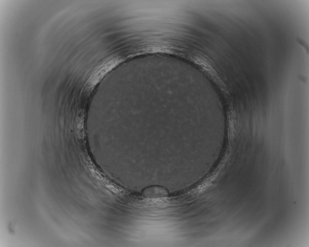 X0000102810977200809021155