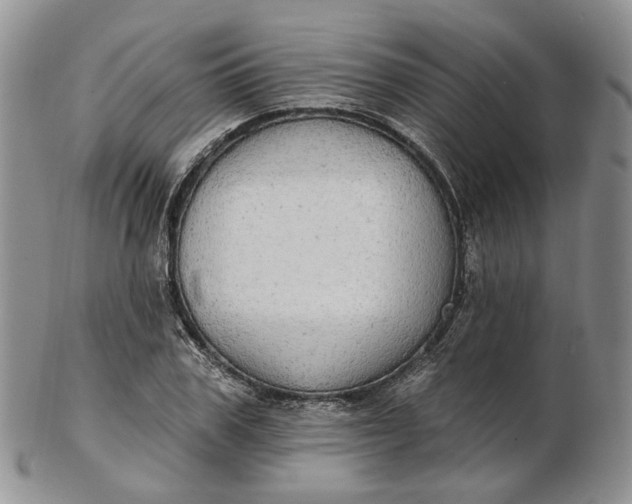 X0000102810979200809021155