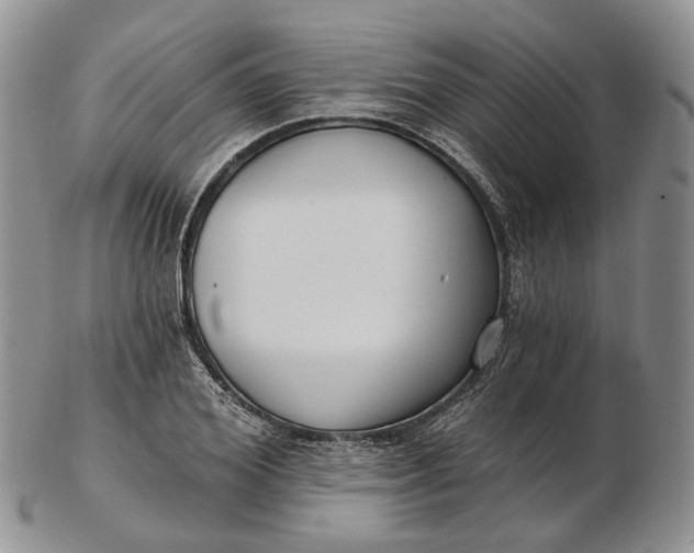 X0000102810980200809021155