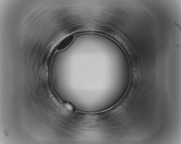 X0000102810981200809021155