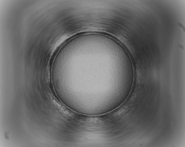 X0000102810982200809021155