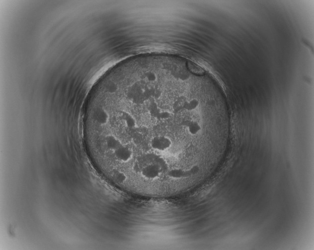 X0000102810983200809021155