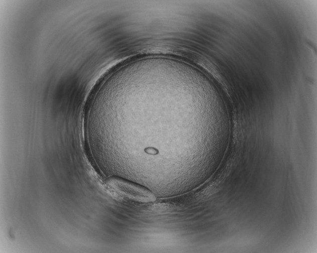 X0000102810984200809021155