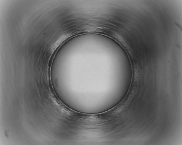 X0000102810986200809021155