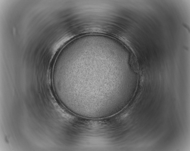 X0000102810987200809021155