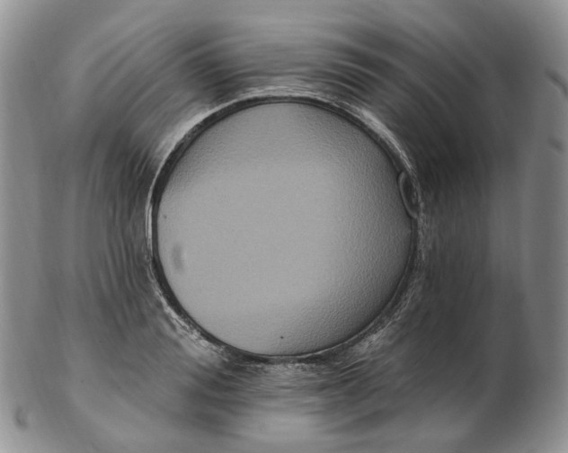 X0000102810988200809021155