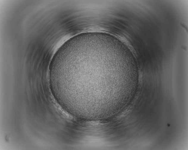 X0000102810990200809021155