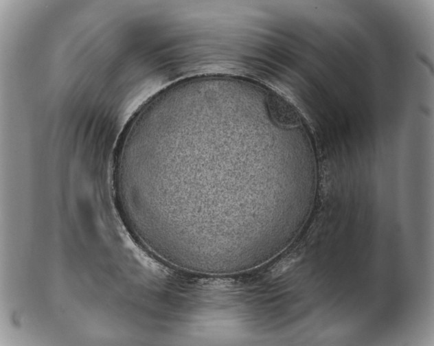 X0000102810991200809021155