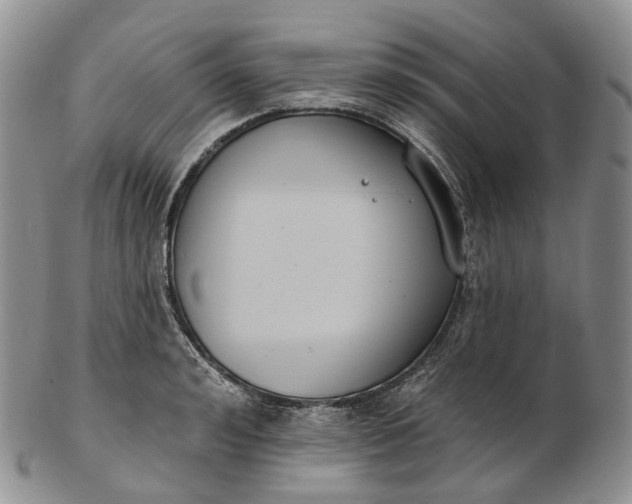 X0000102810992200809021155