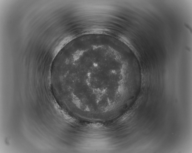 X0000102810994200809021155