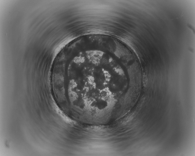 X0000102810995200809021155