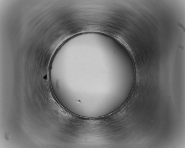 X0000102810996200809021155