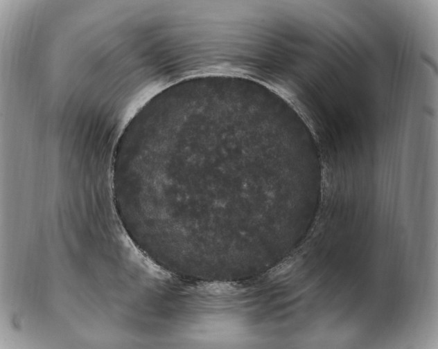 X0000102810998200809021155