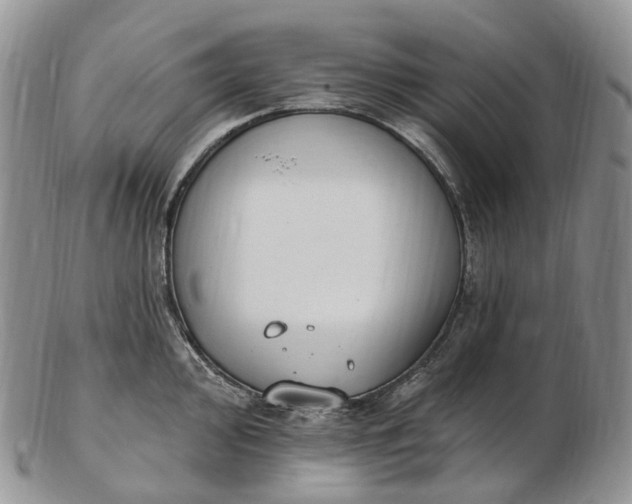 X0000102811000200809021155