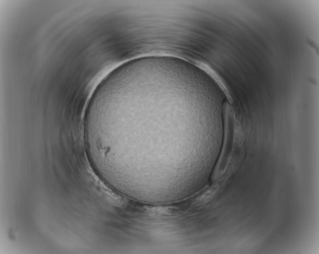 X0000102811004200809021155