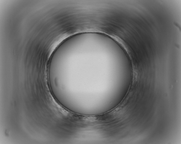 X0000102811006200809021155