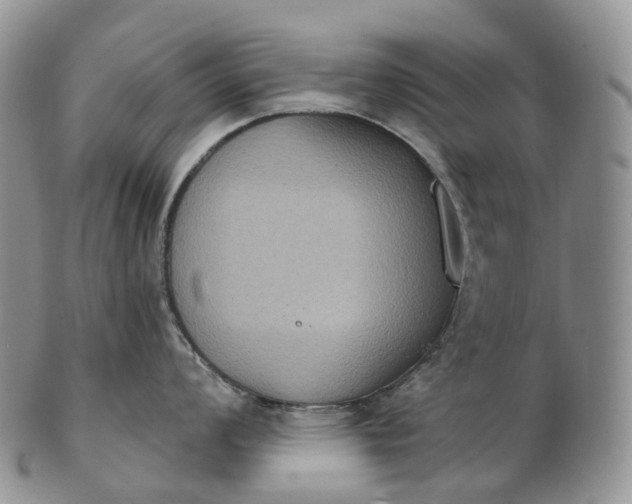 X0000102811008200809021155